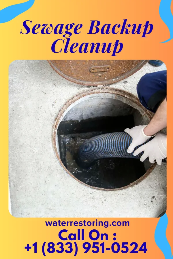 Sewage Backup Cleanup in Vernon Valley, NJ